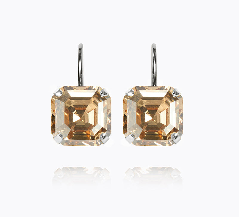 Eve Clasp Earrings / Golden Shadow